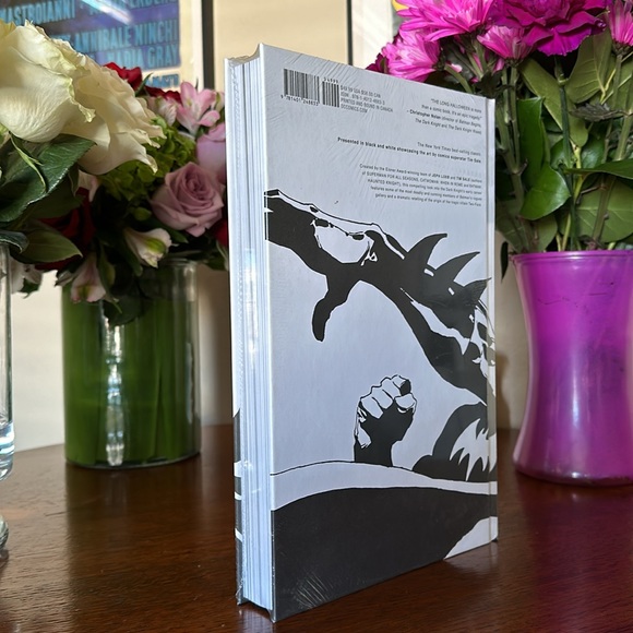 BRAND NEW Batman Noir The Long Halloween by Jeph Loeb & Tim Sale-in shrink wrap! - Picture 3 of 4